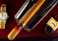 Premium WB Brand Cigars
